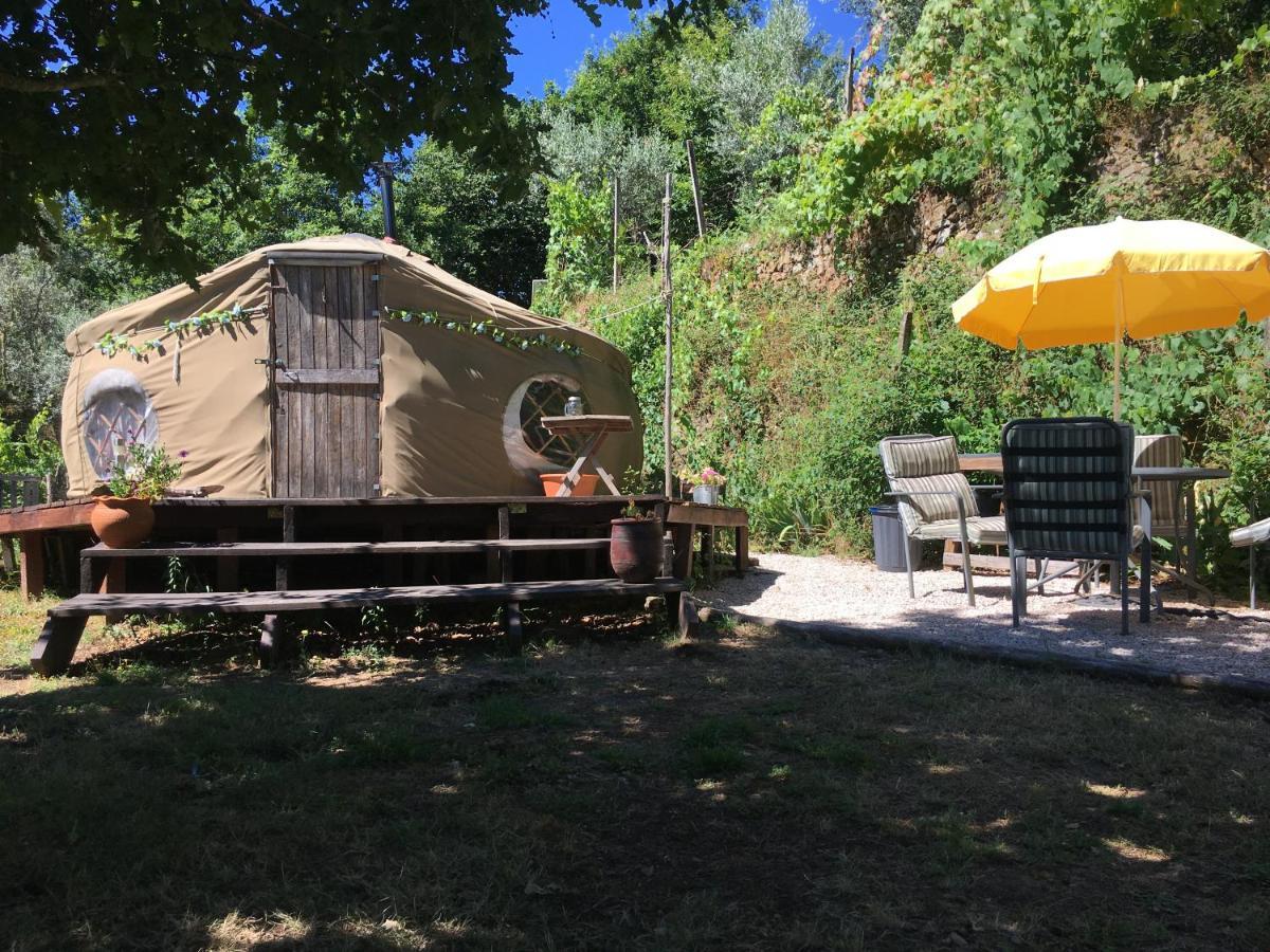 Star Gazing Luxury Yurt With River Views, Off Grid Eco Living Vale do Barco Eksteriør billede