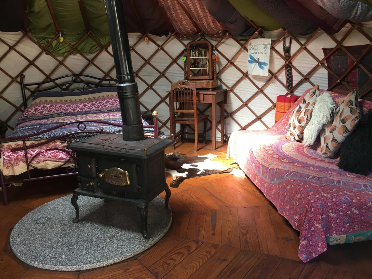 Star Gazing Luxury Yurt With River Views, Off Grid Eco Living Vale do Barco Eksteriør billede