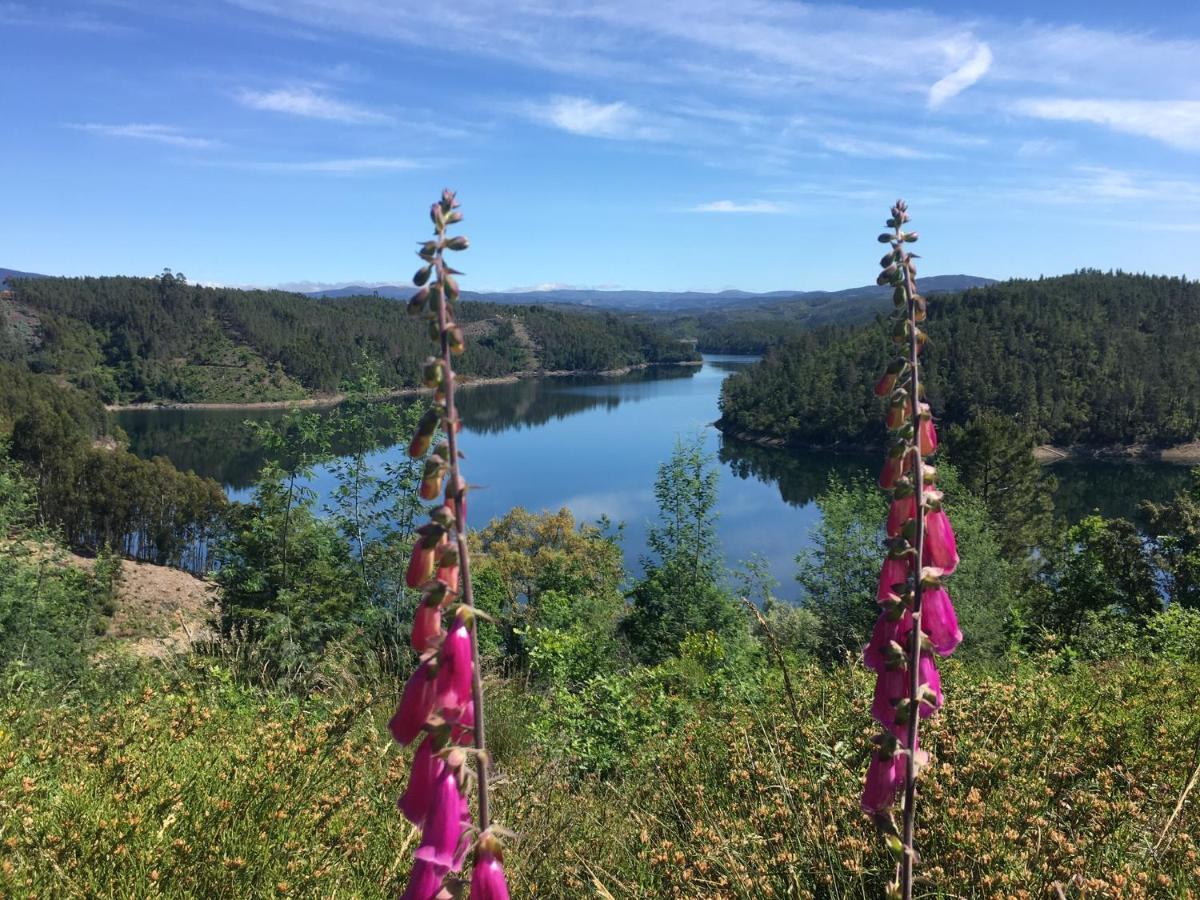 Star Gazing Luxury Yurt With River Views, Off Grid Eco Living Vale do Barco Eksteriør billede