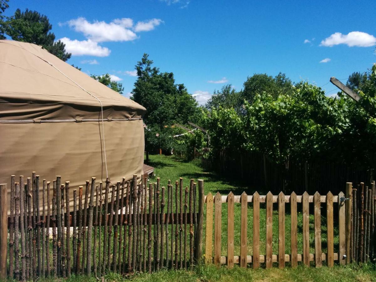 Star Gazing Luxury Yurt With River Views, Off Grid Eco Living Vale do Barco Eksteriør billede